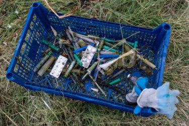 Երևանյան լճից մեծ թվով ներարկիչներ են գտել