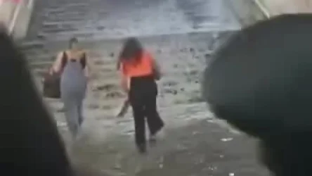 ՏԵՍԱՆՅՈՒԹ. Շենգավիթը` այսօր տեղացած անձրևից հետո