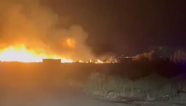 Մանրամասներ՝ տնկարանում բռնկված հրդեհից․ ինչ իրավիճակ է հիմա