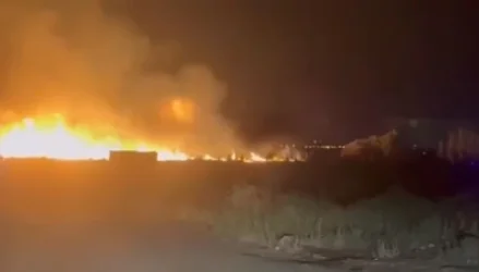 Մանրամասներ՝ տնկարանում բռնկված հրդեհից․ ինչ իրավիճակ է հիմա