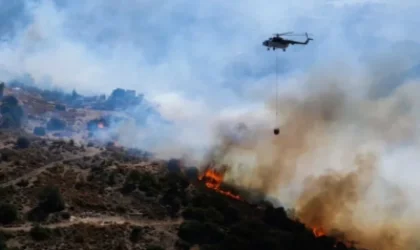 Թուրքիայի Իզմիր քաղաքի մոտ հրշեջները 2-րդ օրն է փորձում են մարել անտառային հրդեհը