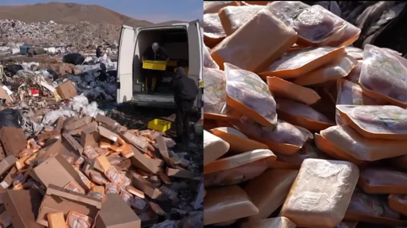 Մանկապարտեզներից 4 տոննա թռչնամիս է ոչնչացվել