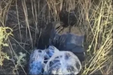 Հայաստան-Իրան սահմանի մոտակայքում 12 կգ թմրամիջոց է հայտնաբերվել․ ՆԳՆ