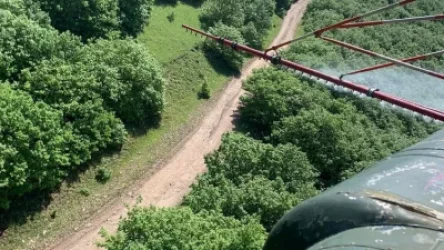 Տեղափոխեք մեղվափեթակները. քիմիական պայքարի միջոցառումներ կլինեն մի քանի համայնքներում