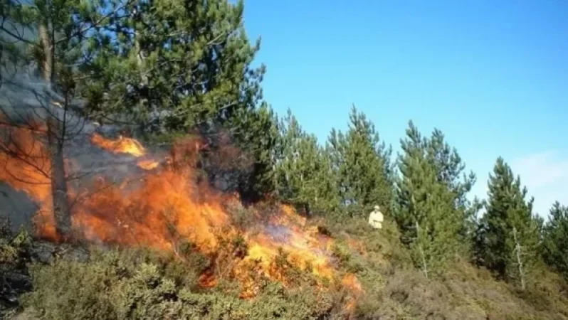 Հրդեհ Դիլիջան քաղաքից դեպի թունել տանող հատվածում