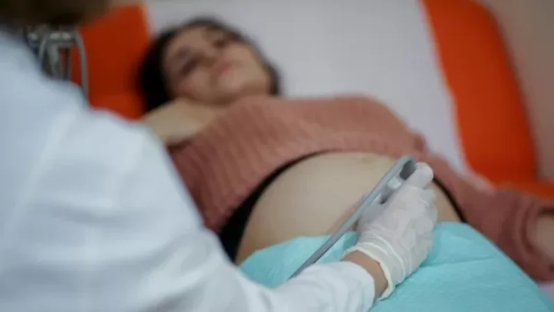 Այսօր ընդունեցինք մեր զոհված զինվորների մայրերից առաջին հղիին. Վահե Տեր-Մինասյան