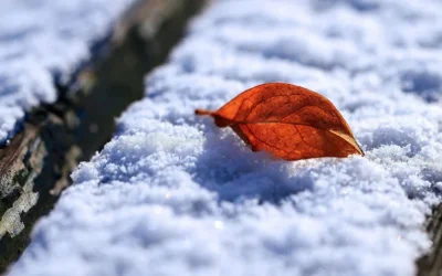 Ինչ եղանակ սպասել առաջիկայում