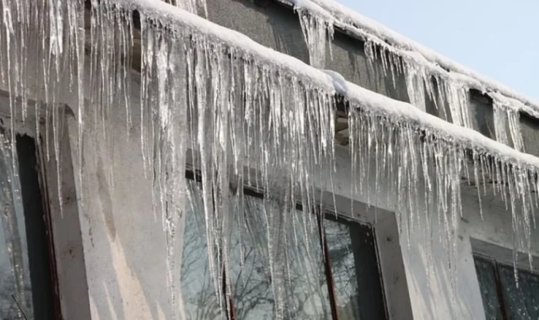 Սառցելեզվակների պատճառով քաղաքացի է տուժել. Կենտրոն վարչական շրջանը ձեռնարկում է միջոցներ