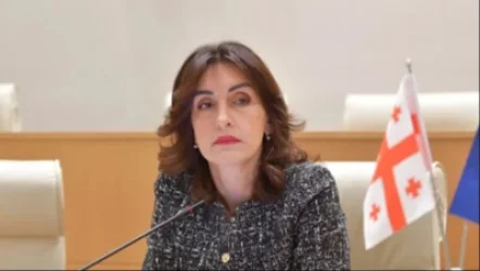 Ադրբեջանի, Հայաստանի և Թուրքիայի հետ հարաբերությունները կարևոր են. Վրաստանի ԱԳ նախարար