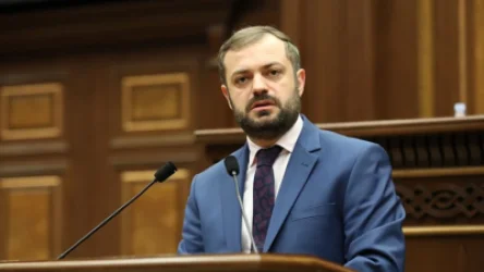 Դա լավ գաղափար չէ. Պապոյանը խոսել է էլեկտրամոբիլների քվոտայի մասին