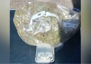 51-ամյա բնակչի տանը հայտնաբերվել է 109 գրամ մարիխուանա