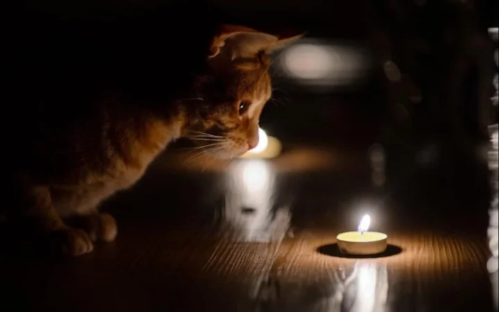 Էլեկտրաէներգիայի անջատումներ՝ Երևանի ու մարզերի մի շարք հասցեներում