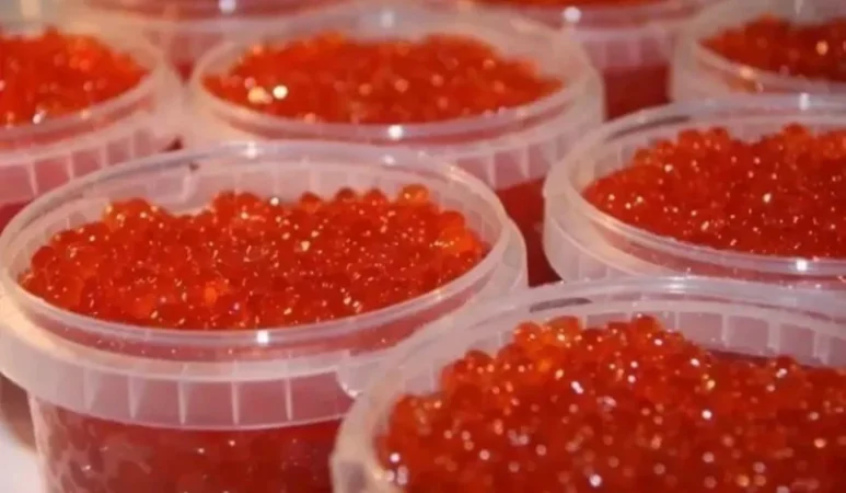 Սիգի ձկնկիթի արտահանումը Հայաստանից ժամանակավորապես արգելվեց