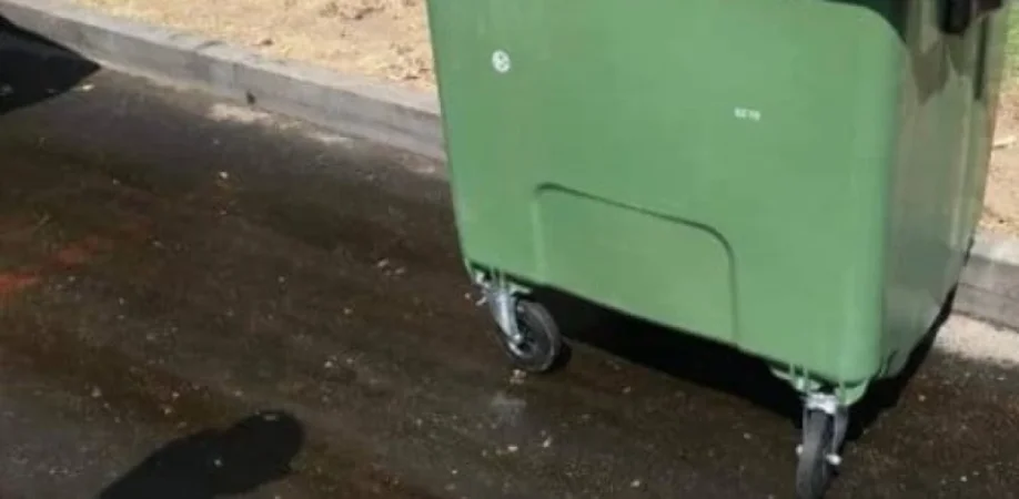 Գլուխները՝ վնասված, աչքերը՝ հանած․ աղբամանների մոտ շան սատկած ձագեր են եղել