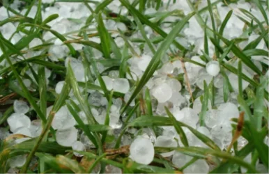 Հնարավոր է կարկուտ՝ մայիսին ջերմաաստիճանի օրական տատանումները զգալի են