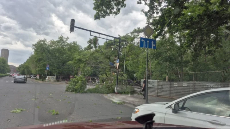 Քամու հետևանքով ծառեր են տապալվել