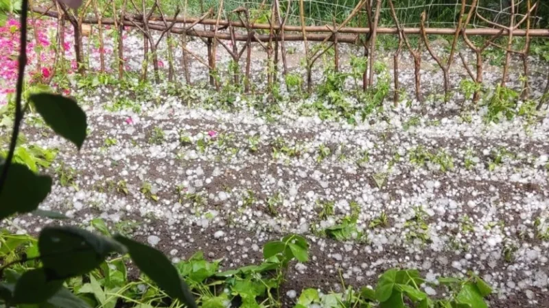 Սպասվում է կարկուտ. եղանակը ՀՀ-ում