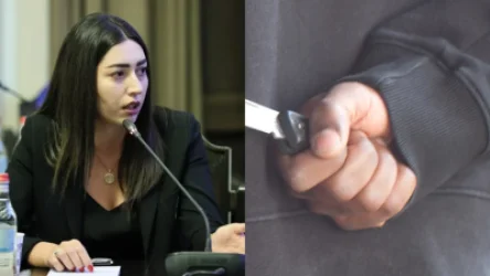 Փականներով փոքր դանակների վաճառքը անչափահասների շրջանում կարգելվի․ նախագիծ