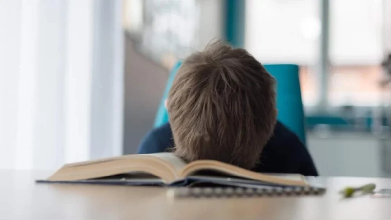 ՀՀ-ում երկու տասնյակից ավելի աշակերտի ծնողները թույլ չեն տալիս դպրոց հաճախել