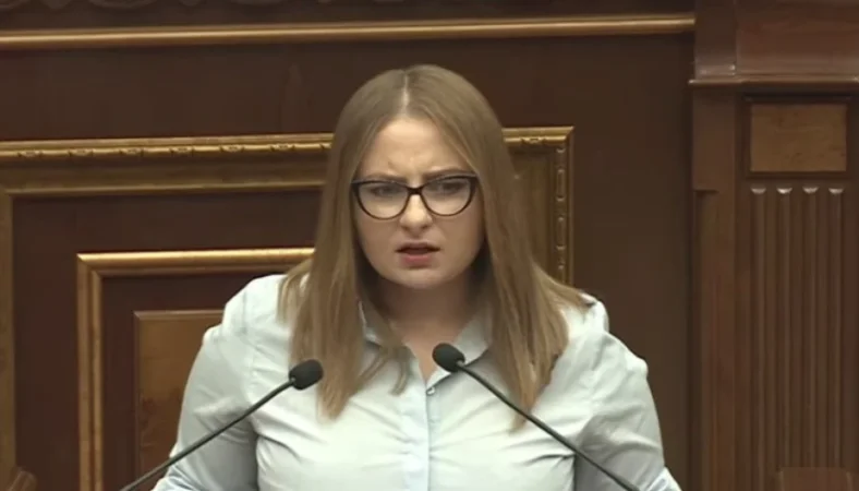 Չպետք է թուլ տալ՝ Հայաստանում, Ալիևի պահանջով Սահմանադրության փոփոխում․ Քրիստինե Վարդանյան