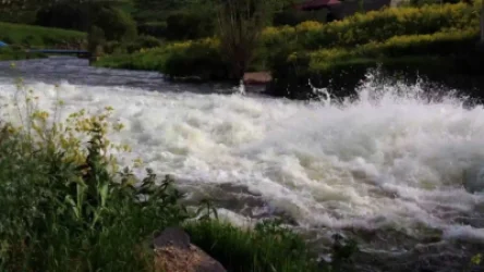 Քաղաքացու դին գտել են Քասախ  գետից