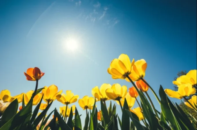 Ինչ եղանակ սպասել առաջիկայում