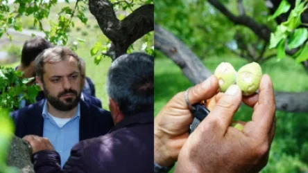 Պետությունը ձեզ մենակ չի թողնի. Պապոյանը` կարկուտից տուժած համայնքներին