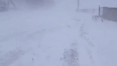 ՏԵՍԱՆՅՈՒԹ․ Ճանապարհներին ուժեղ բուք ու ձյան տեղումներ են․ Շիրակ