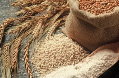 Մի շարք գյուղատնտեսական ապրանքների արտահանման ժամանակավոր արգելք կգործի