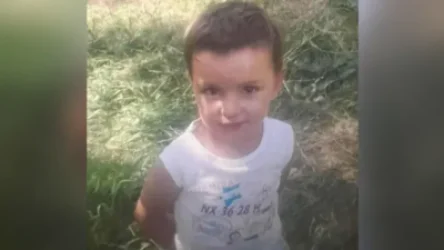 Կորած երեխայի հայրն է խեղդամահ արել նրան. ՆԳ նախարար