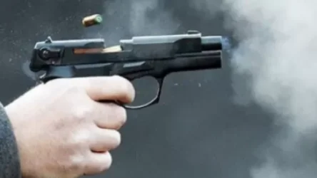 Վրաստանում սպանություն գործած քաղաքացիները ձերբակալվել են Հայաստանում