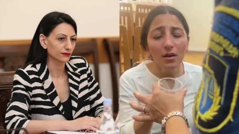 Սա բացառիկություն ներկայացնող դեպք չէ, աշխարհում շատ են դեպքերը, երբ ազատությունից զրկվում են կանայք. ՄԻՊ