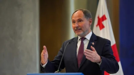 Վրաստանում ԵՄ դեսպանին կարող են վտարել երկրից