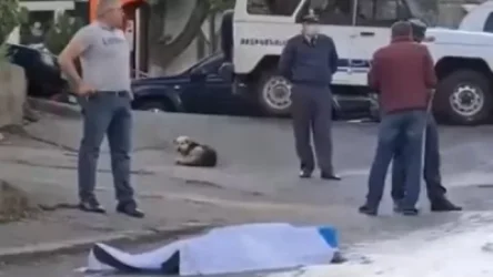 ՏԵՍԱՆՅՈՒԹ.  Սպանություն Երևանում․ ՔԿ