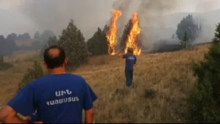 Ամերիկյան փողոցում այրվել է մոտ 15 հա խոտածածկույթ