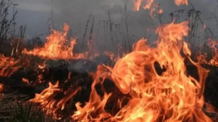 Հրդեհ՝ Նուբարաշենից դեպի Խարբերդ գնացող տարածքում