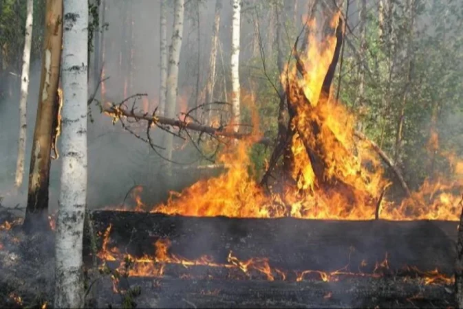 Հայաստանում բարձր կարգի հրդեհավտանգ իրավիճակ է սպասվում