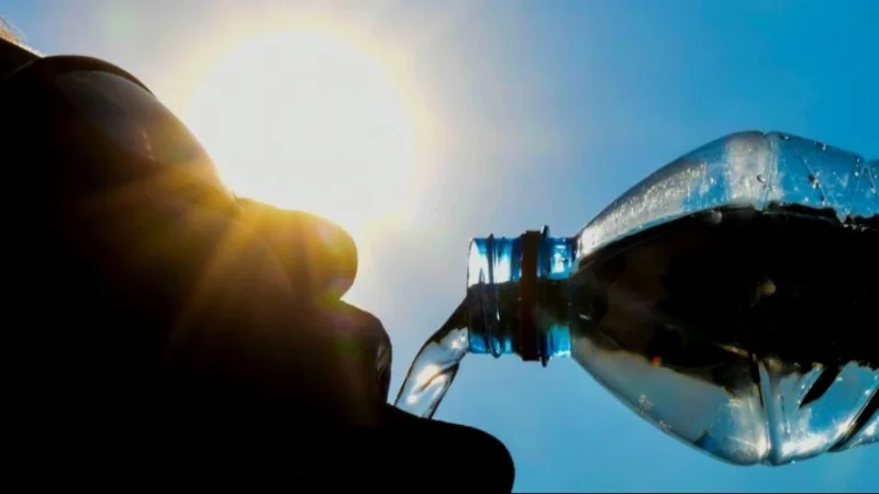 Սնկային վարակներ, բակտերիալ վարակներ և այլ հիվանդություններ. շոգ եղանակի հետևանքները