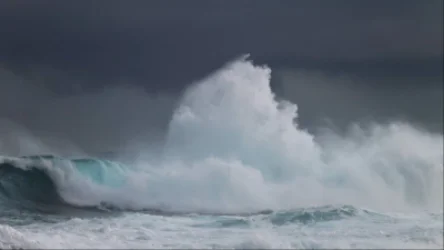 Երկրաշարժից հետո ցունամիի առաջին ալիքները հասել են ԱՄՆ