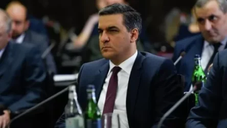 Դատապարտելի է, որ սոցցանցերի հարձակումները կազմակերպում կամ համակարգում են պաշտոնյաները