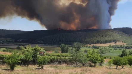 Թուրքիայի Ադանա նահանգում անտառային հրդեհներ են