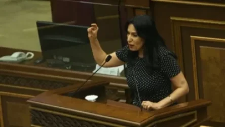 Անգելա Մերկելին եմ փոխանցել հայ ռազմագերիների ծնողների նամակներն ուղղված Գերմանիային. Զոհրաբյան