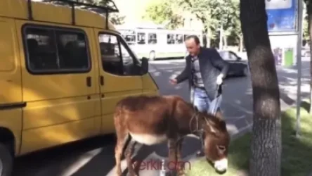 ՏԵՍԱՆՅՈՒԹ. Իջևանցին էշով եկել էր Փաշինյանին տանելու, բայց իրեն տարան