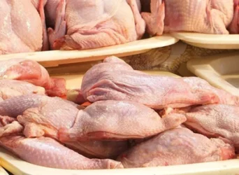 «Գետամեջ» թռչնամսի արտադրամասի գործունեությունը կասեցվել է