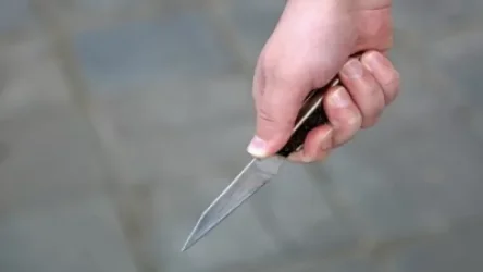 Նիդերլանդներում հայ կնոջ դանակահարության մասին լուրն իրականությանը չի համապատասխանում