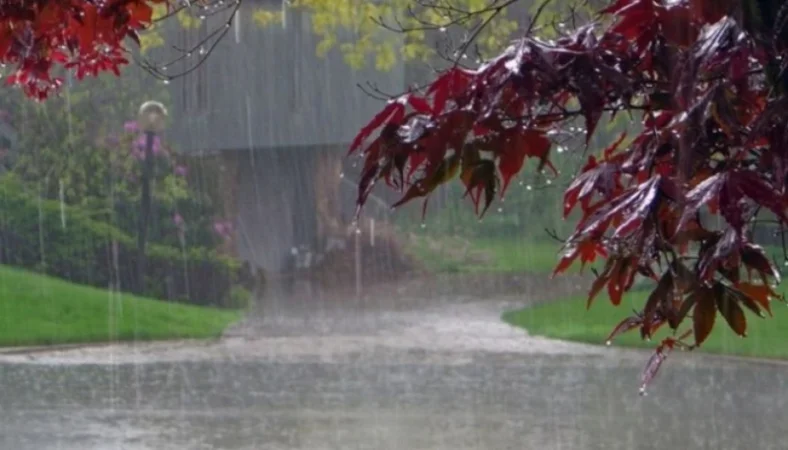 Անձրևները վերսկսվում են. առանձին շրջաններում հնարավոր է նաև քամու ուժգնացում