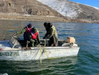 Սևանից դուրս է բերվել 38 ձկնորսական ցանց՝ 65 կգ սիգով