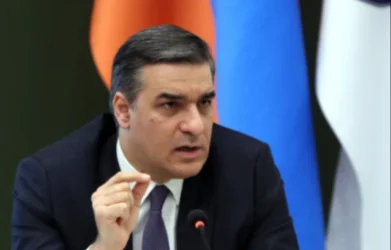 Բռնnւթյամբ հարցեր լուծելու արատավոր երևույթը թափ է ստանում. Թաթոյանը՝  Փարաքարում uպանnւթյան մասին