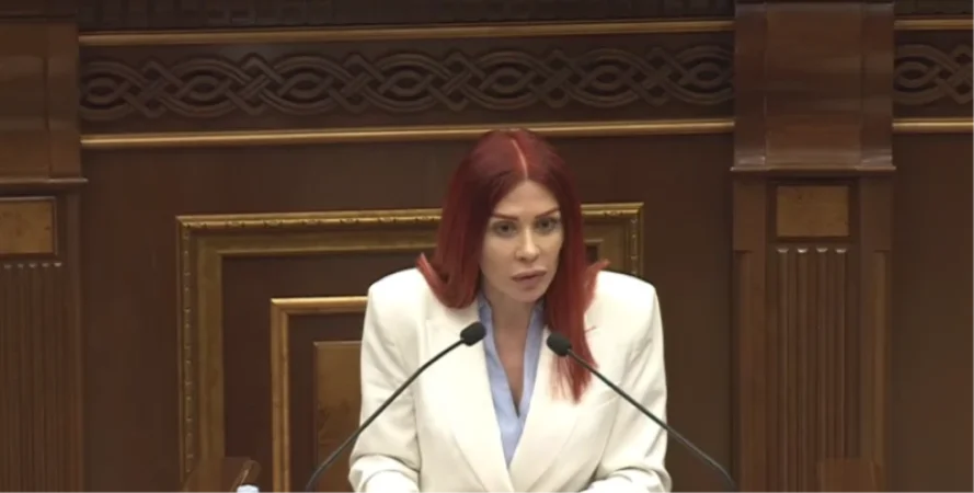 Մարդը, որը չունի գումար,  հիվանդանոց ընկնելու իրավունք չունի․ Ագնեսա Խամոյան