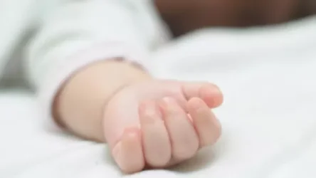 «Բերանը փակեցի ու գցեցի աղբամանը». Գյումրիում 10 ամսական երեխայի սպանության գործը մոտենում է ավարտին